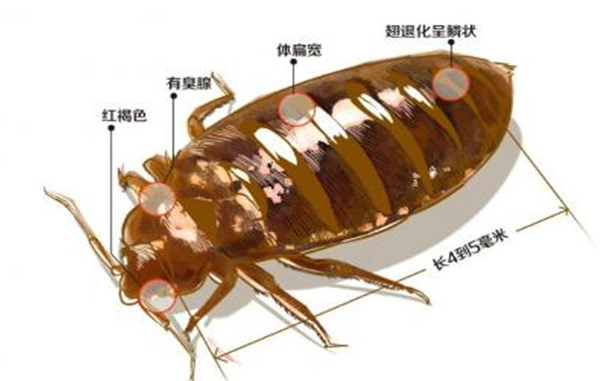 гô岨س湫˾֧