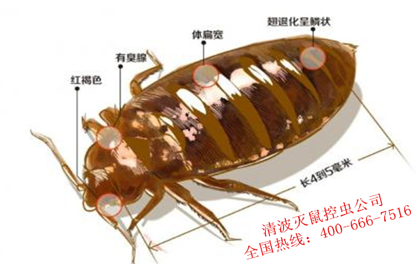 岨س